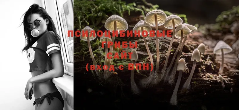 Псилоцибиновые грибы MAGIC MUSHROOMS  купить  сайты  Сим 